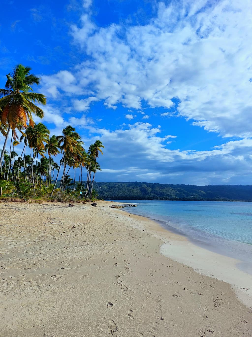 Las Terrenas Real Estate