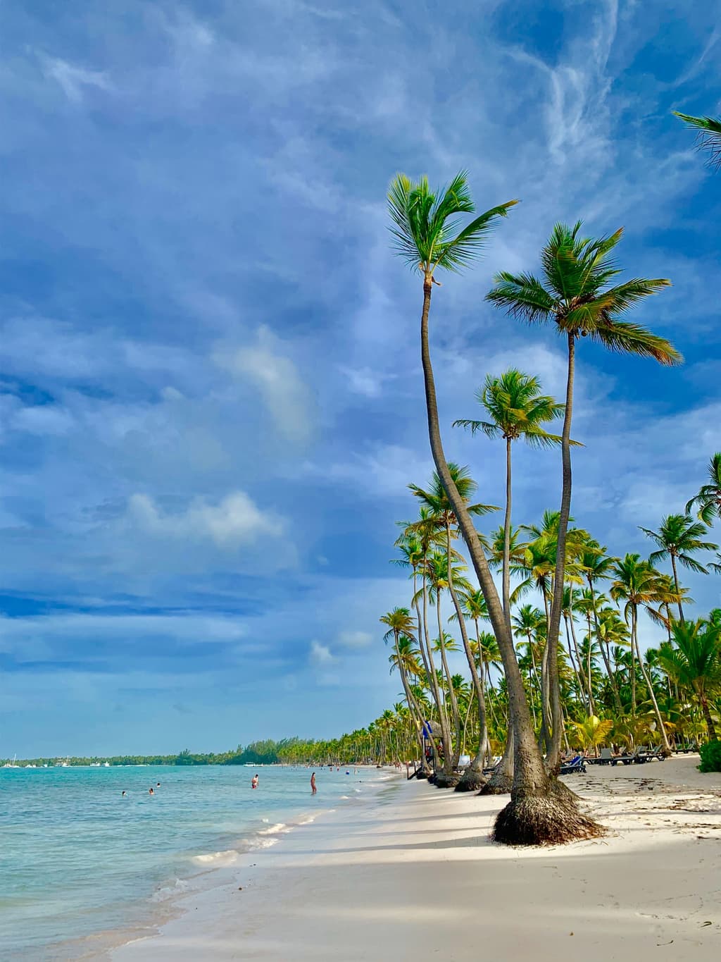 Punta Cana Real Estate