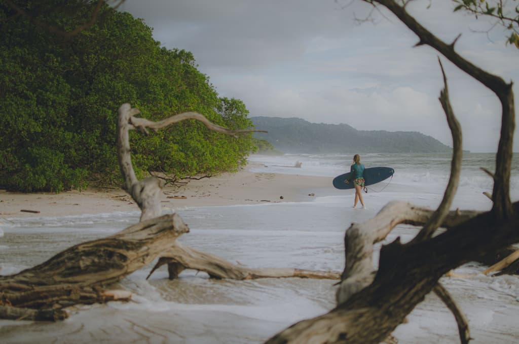 Tamarindo Real Estate