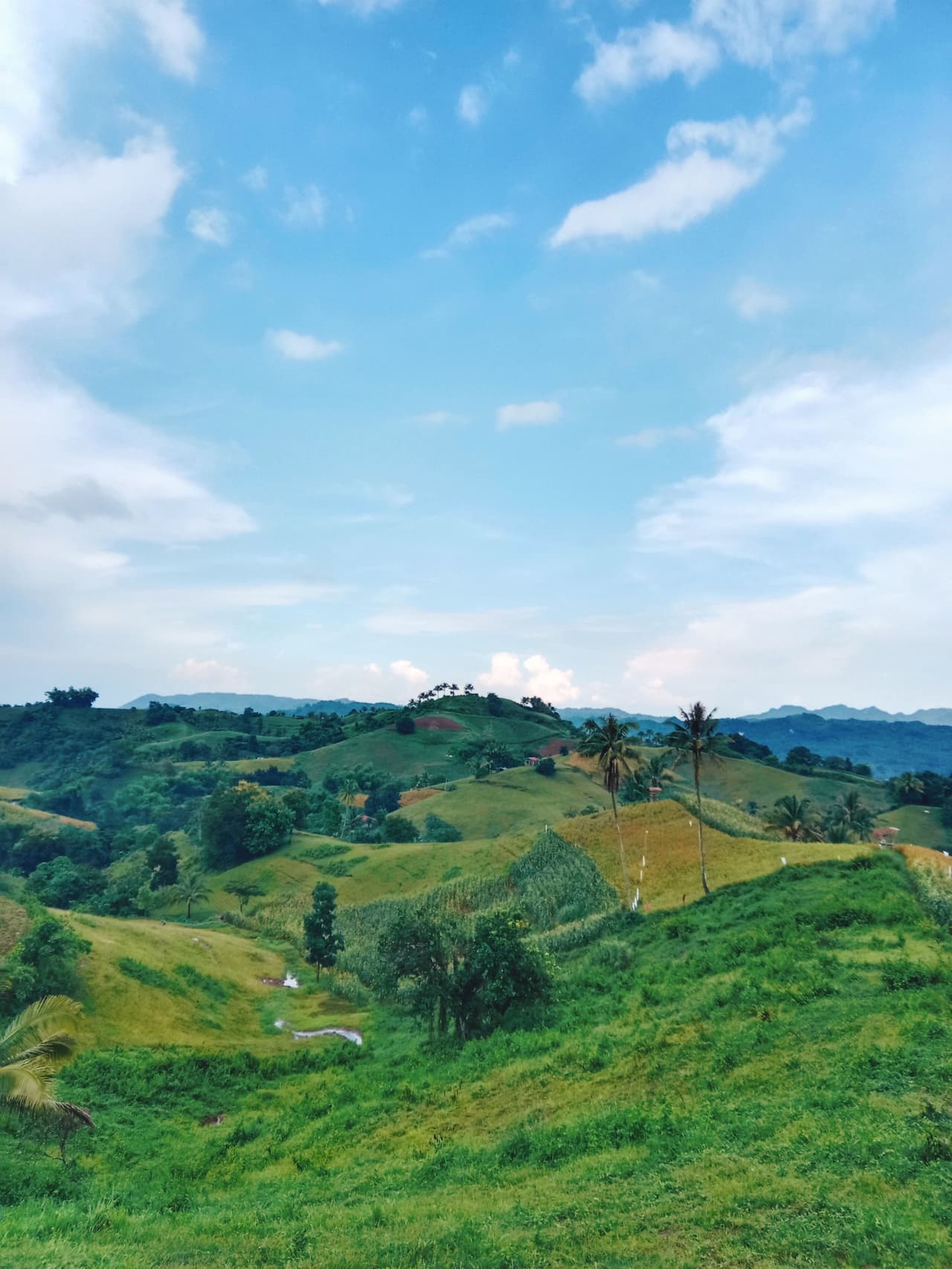 Cebu Real Estate lifestyle